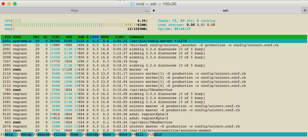 Vagrant Discourse RAM Usage