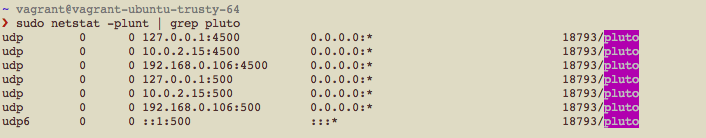 IPsec L2TP script netstat