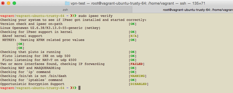 IPsec verify adapter conflict