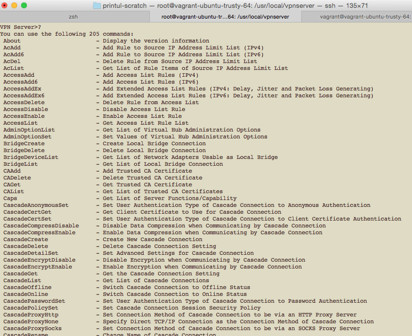 SoftEther 205 commands