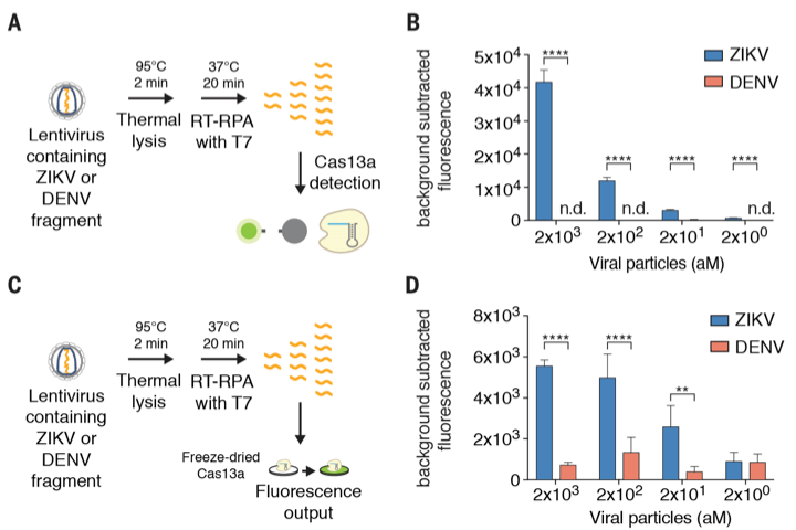 figure 02-A,B,C,D, detecting target DNA