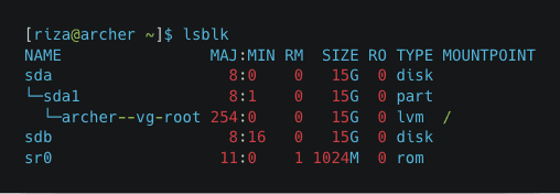 a quick check with lsblk