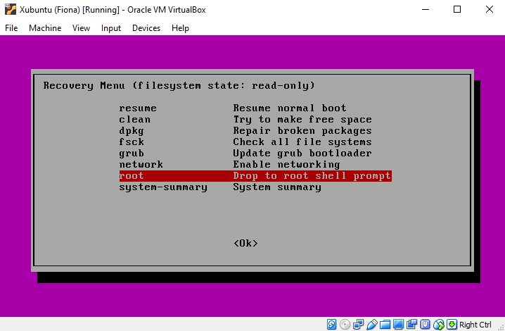 root shell in recovery mode